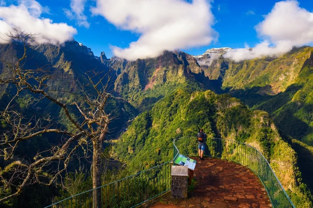 The Balcoes Viewpoint in Madeira
