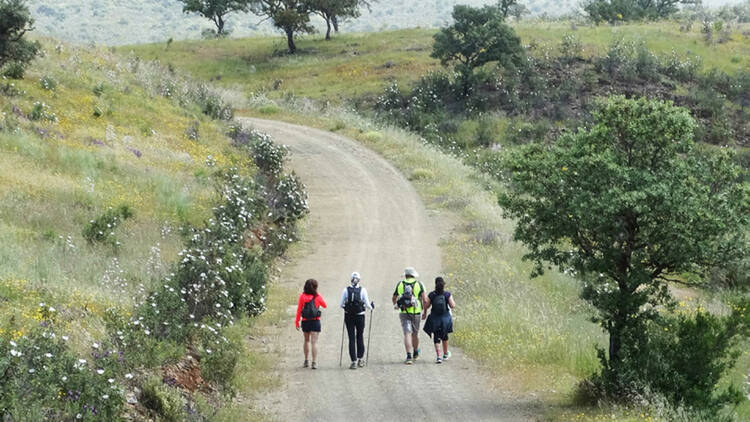 Caminhos de Santiago