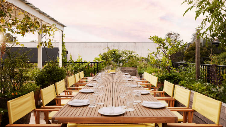 Outdoor seating in a garden