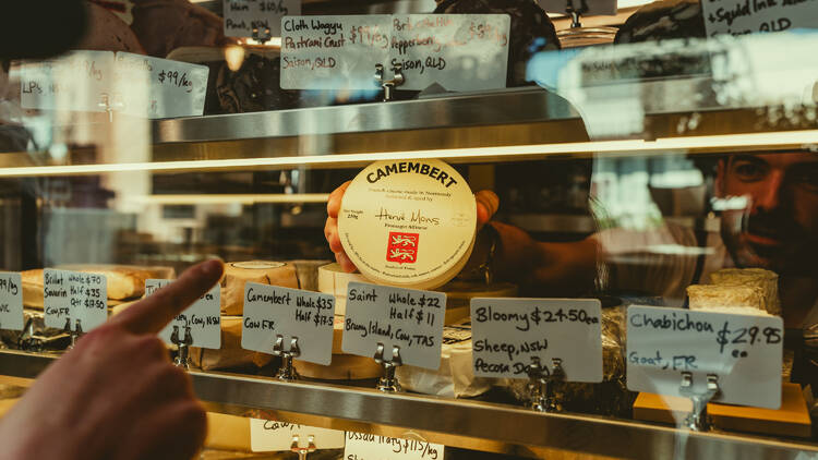 Cheese window at a deli