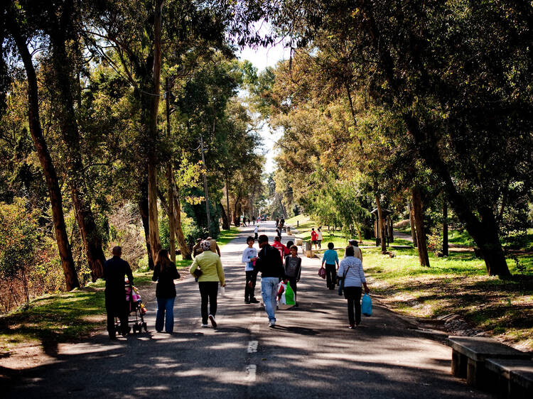 Parque Florestal de Monsanto