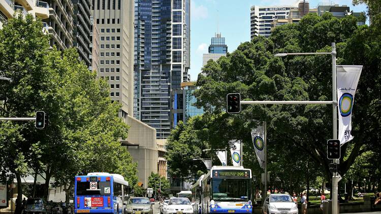 bus routes Sydney