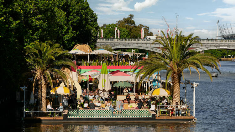 Pool club and bar with palm trees.