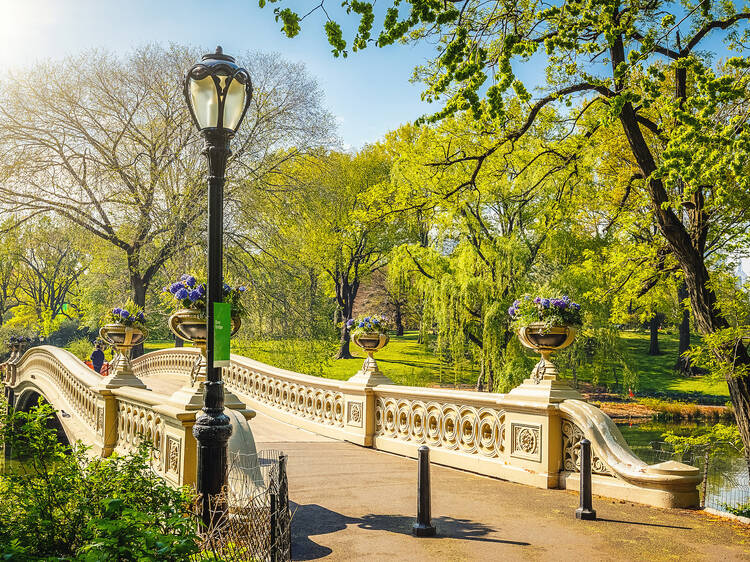 Wander through Central Park