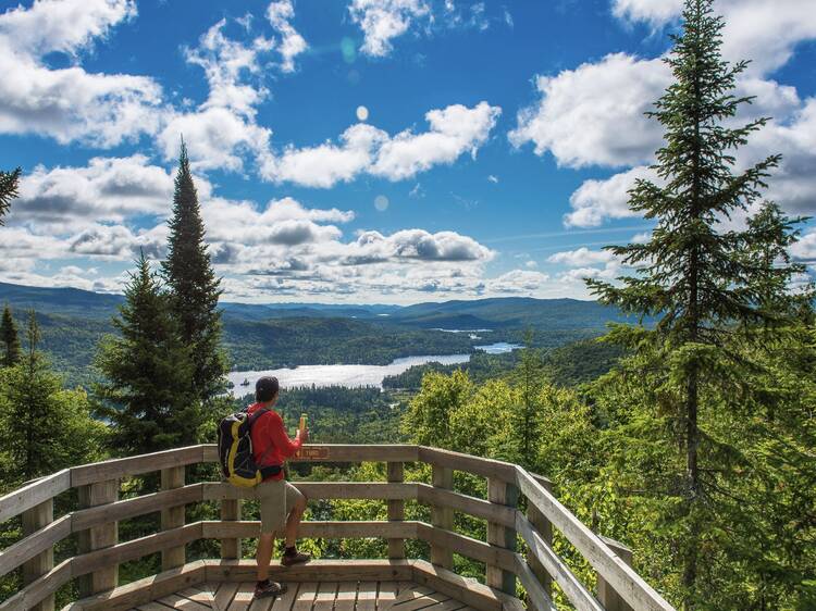 Les 26 meilleures destinations pour la randonnée près de Montréal
