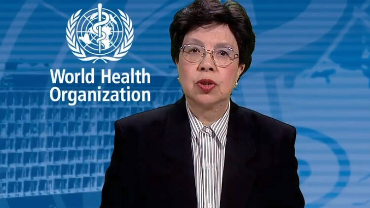 Margaret Chan, former director-general of WHO