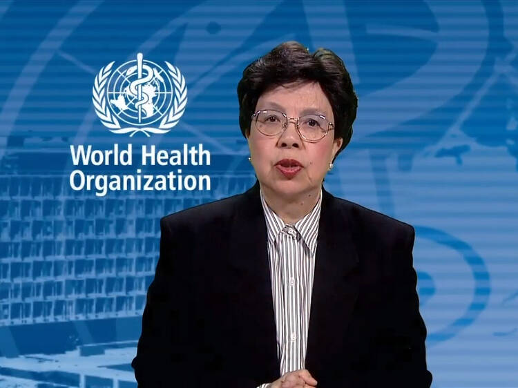 Margaret Chan, former director-general of WHO