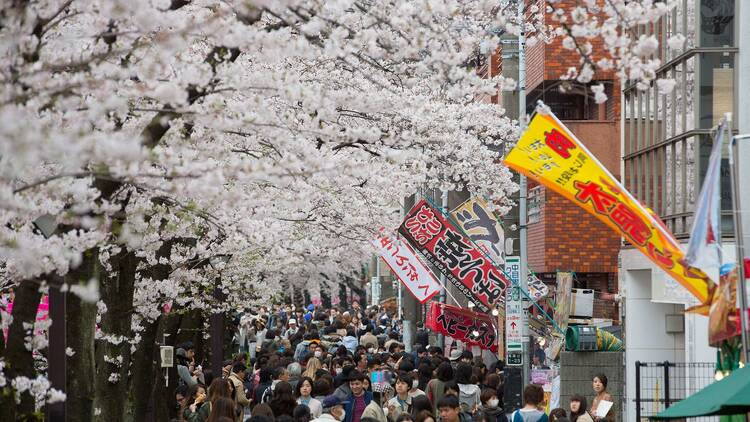 Setsubun Bean-Throwing at Zojoji