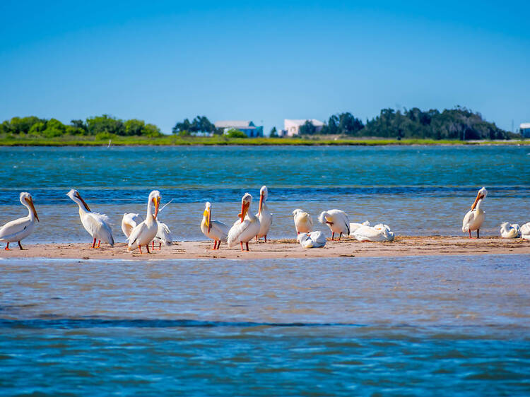 Padre Island National Seashore, Padre Island