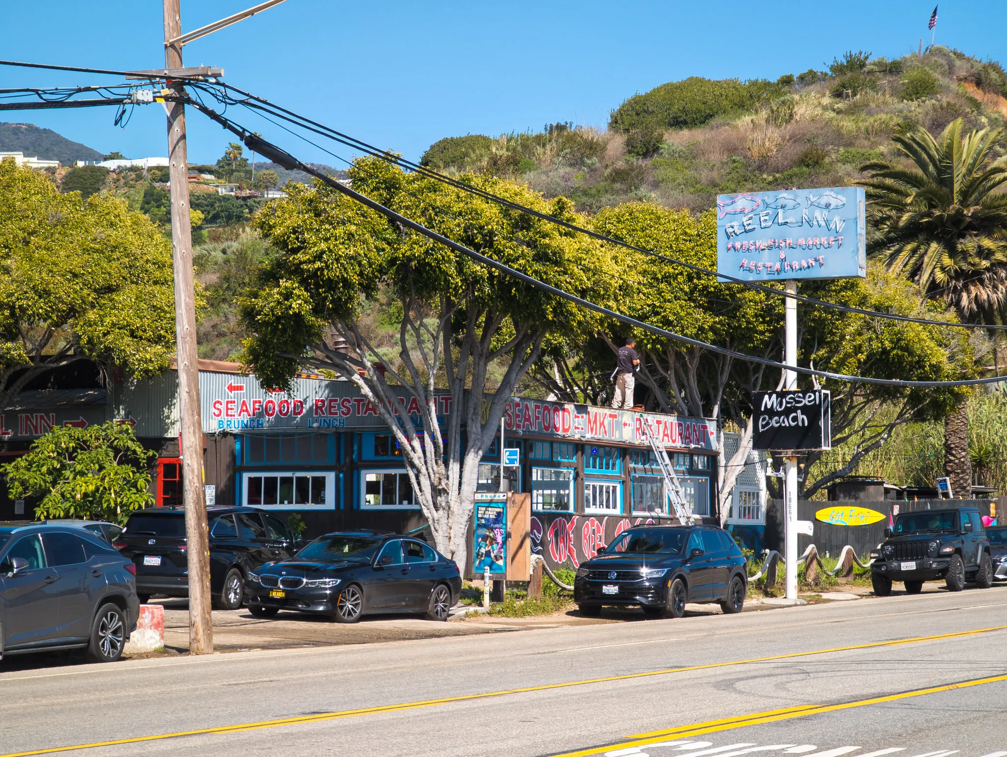 Reel Inn