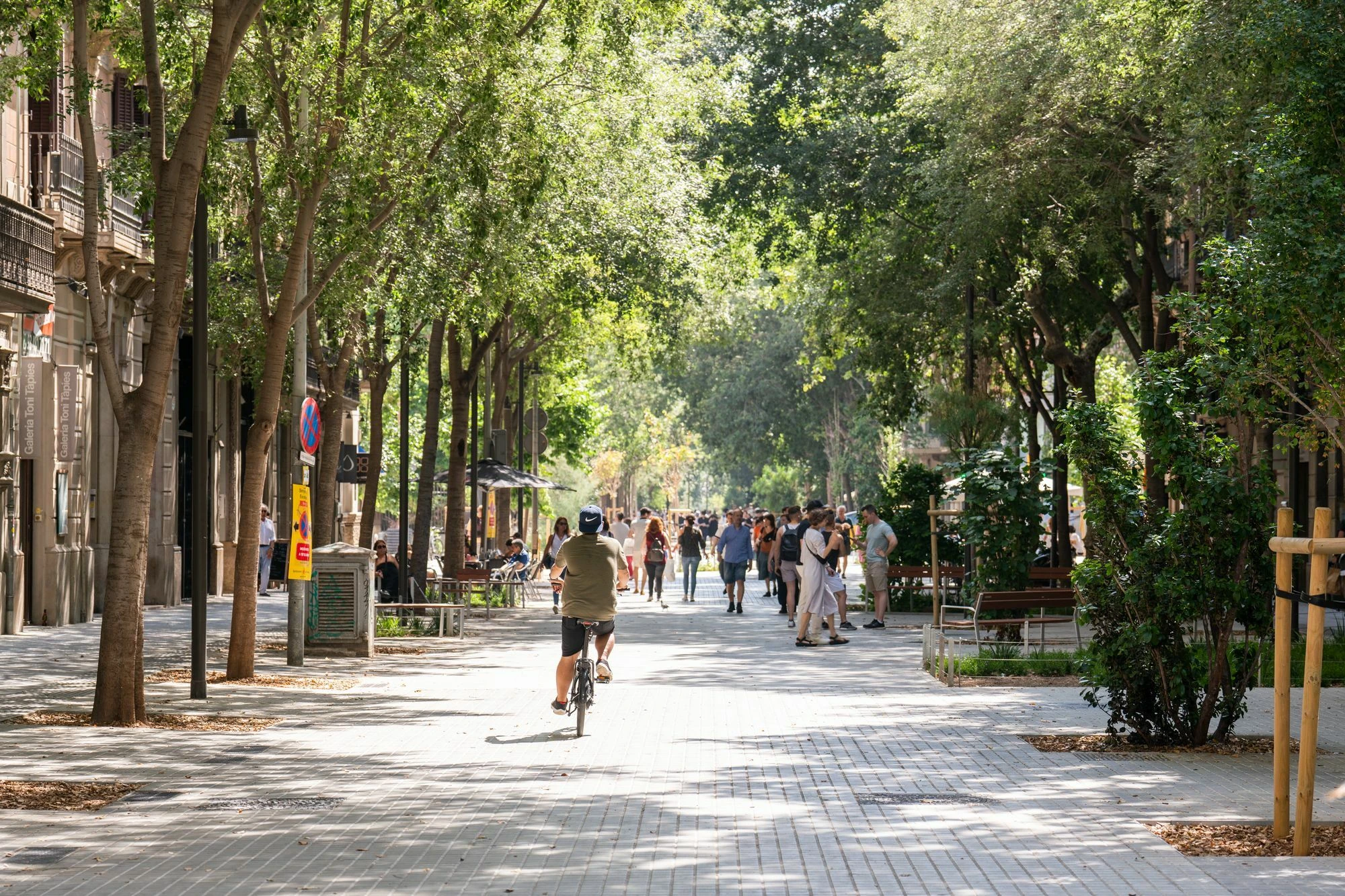 Consell de Cent Street, Barcelona