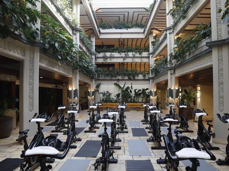 Eddy Pink Recess Spin Classes Mayfair