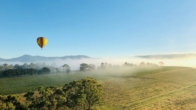 Hot air balloon in countryside.
