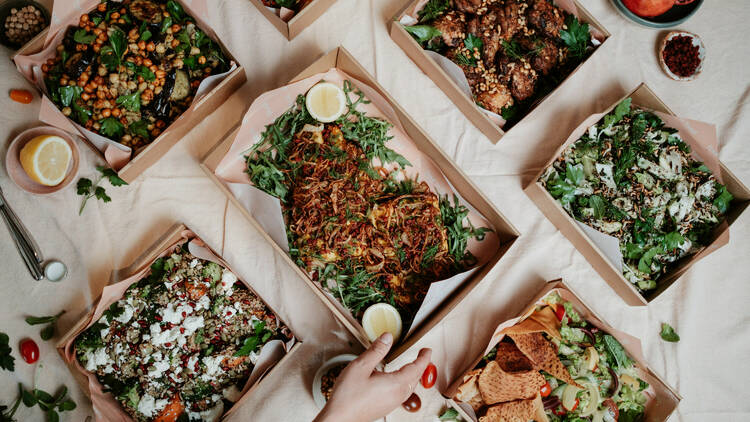 Assorted lunch boxes from Free to Feed.