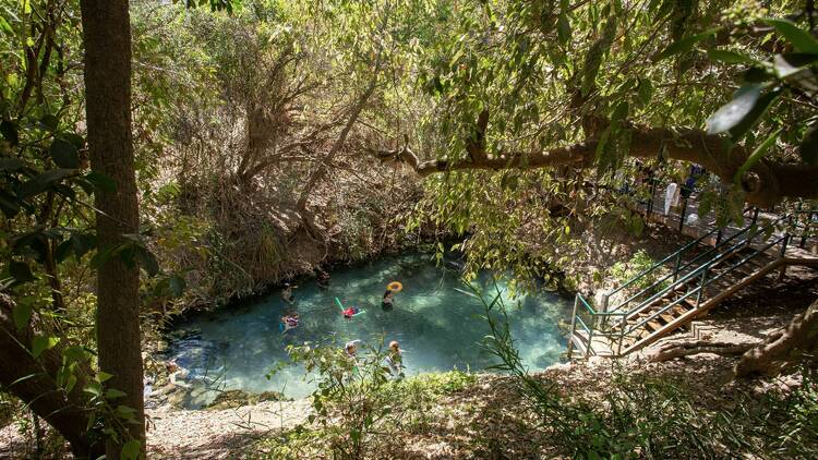 People swimming in a natural pool surrounded by bush
