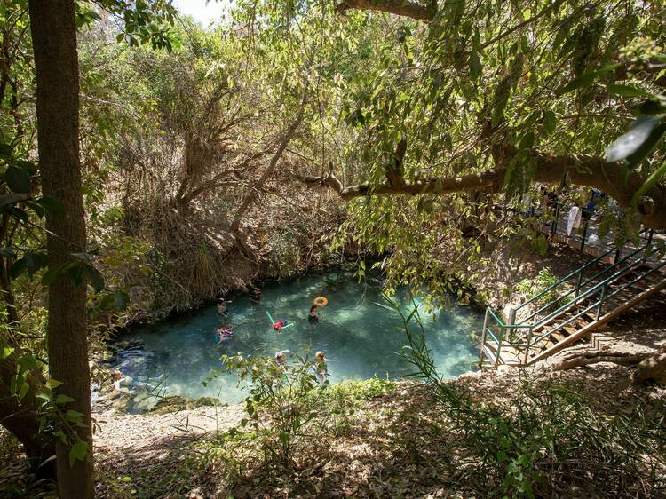 Katherine Hot Springs, NT