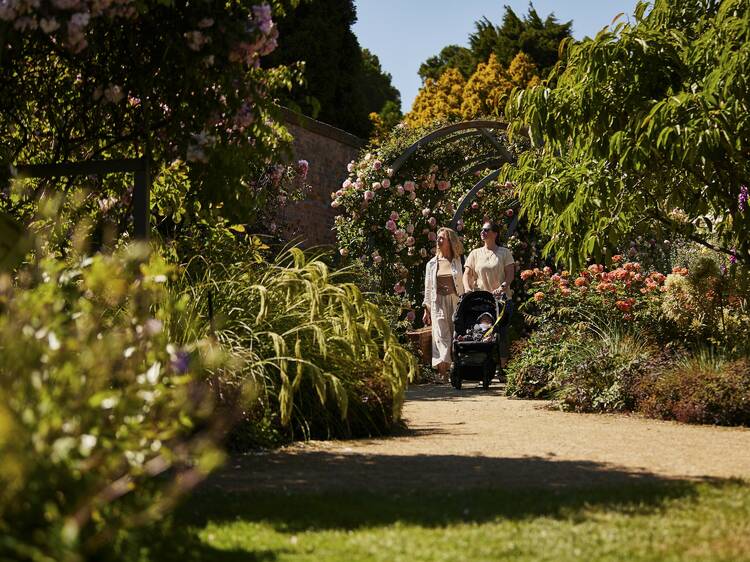 Chill out at the botanic garden