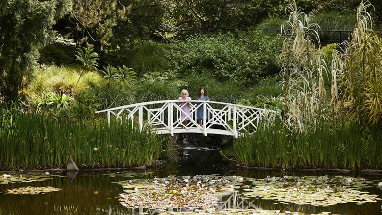 Royal Tasmanian Botanic Garden