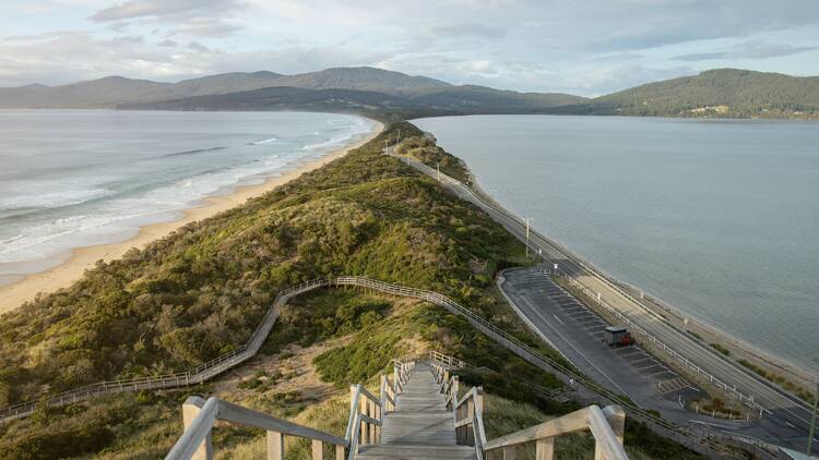 The Neck at Bruny Island