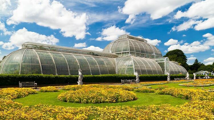 Kew Gardens Palm House