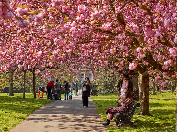  Greenwich Park