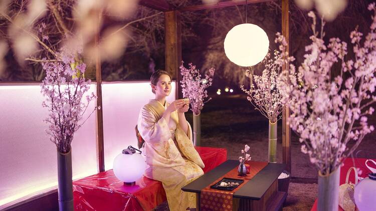 Indulge in a luxurious hanami experience