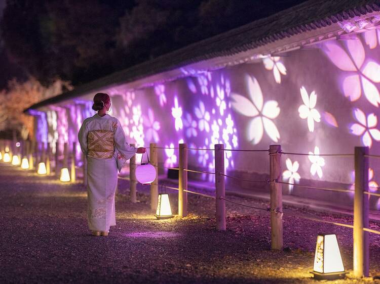 Become part of the art with a Naked lantern