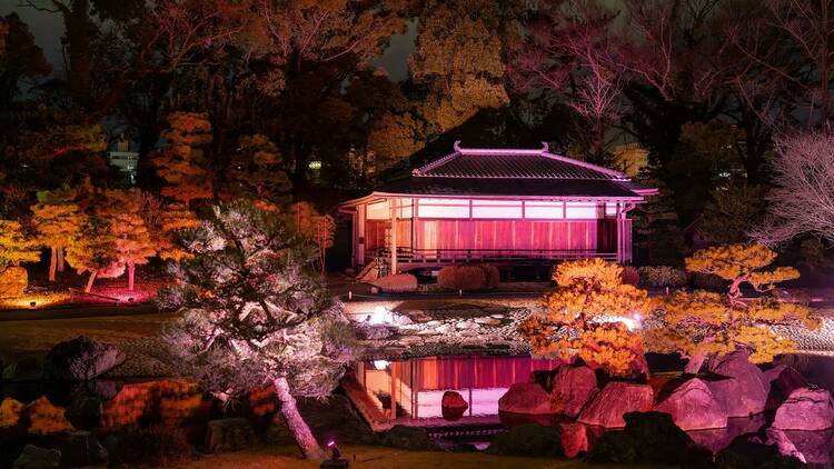 Naked Sakura Festival, Nijo Castle Kyoto