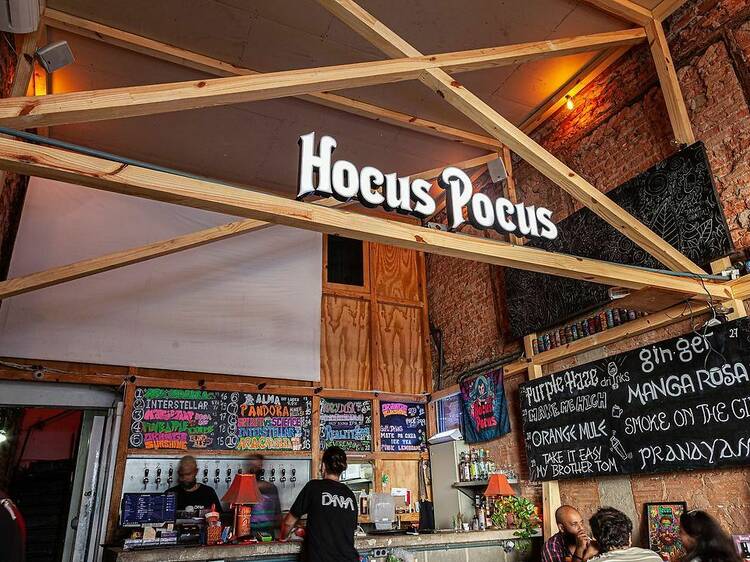 Hocus Pocus DNA