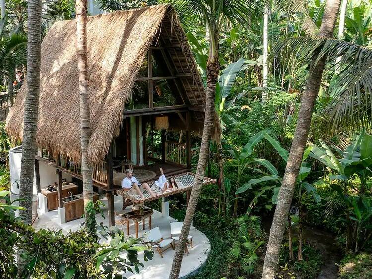 An adult treehouse in the jungle