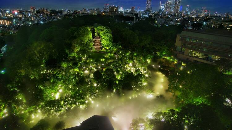 Sea of clouds at Hotel Chinzanso Tokyo