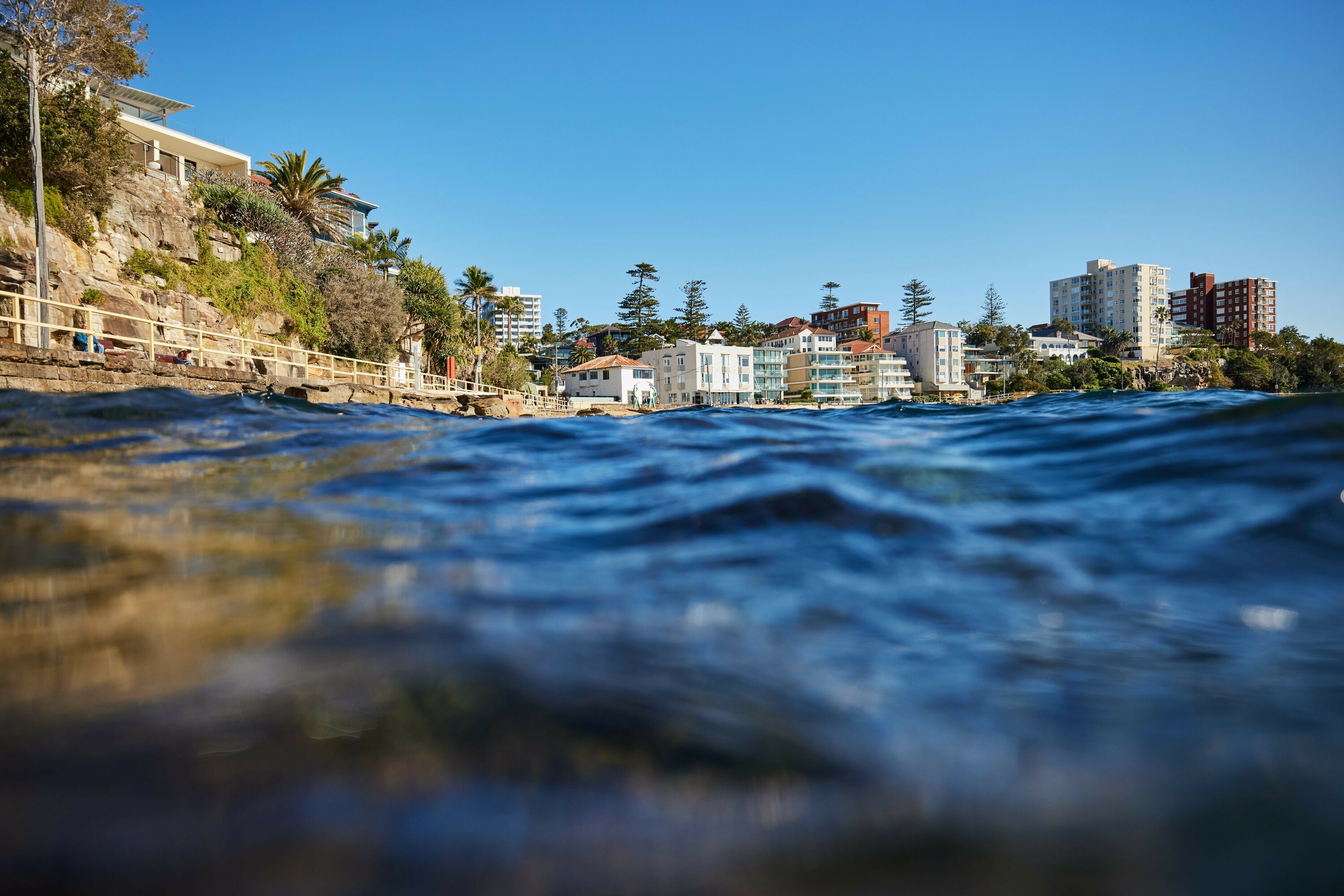 Manly from the ocean