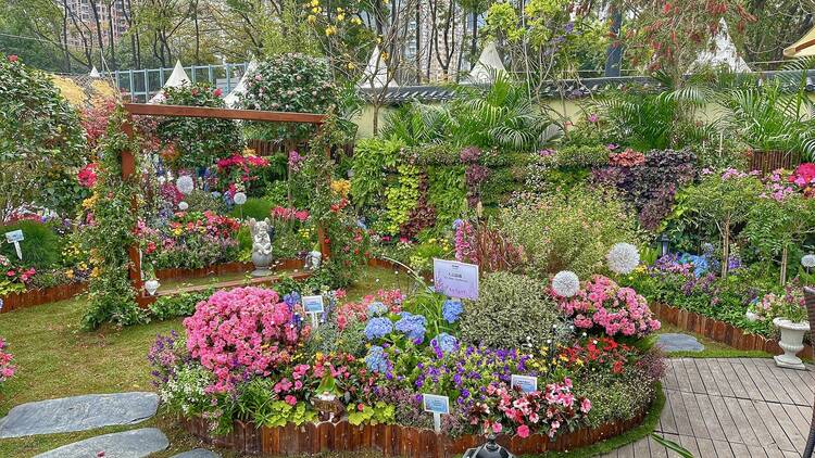 Hong Kong Flower Show 2024