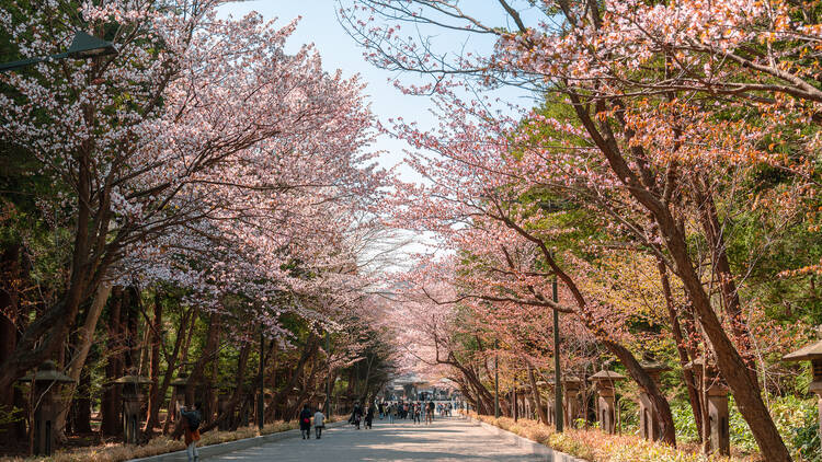 Maruyama Park, Hokkaido