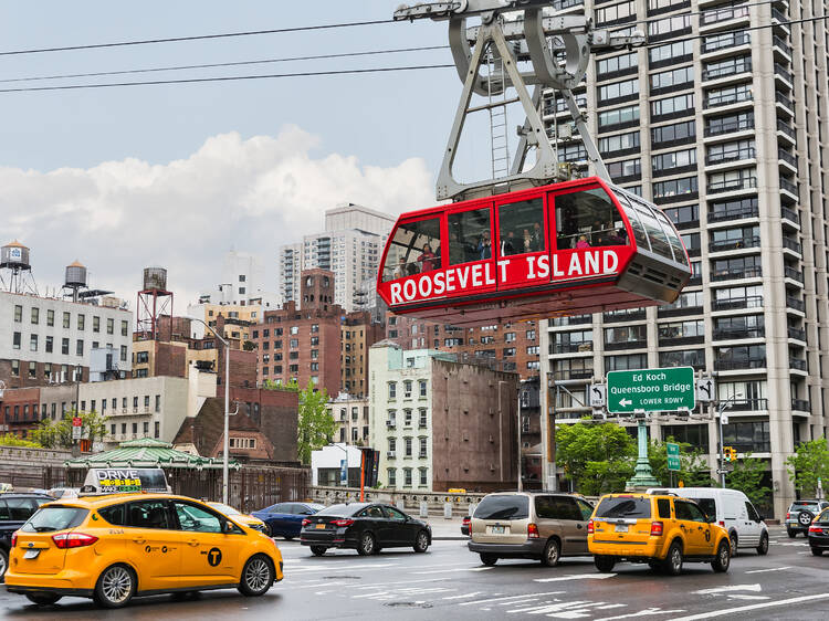 A “mini forest” is opening on Roosevelt Island this spring