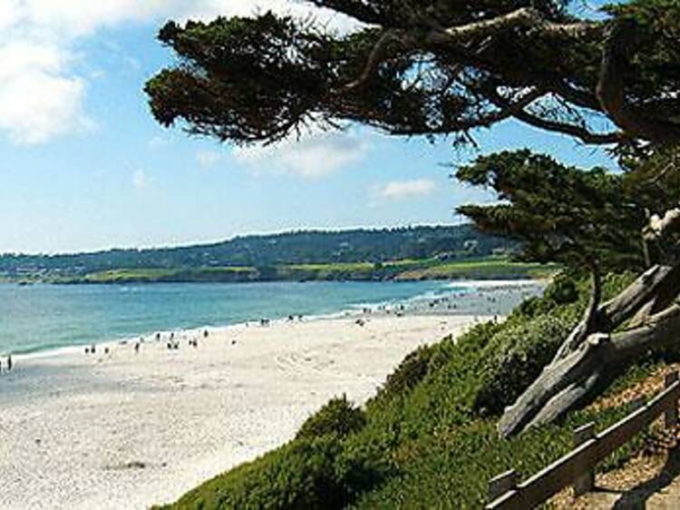 Best for wine lovers: Carmel Beach | Carmel-by-the-Sea, CA