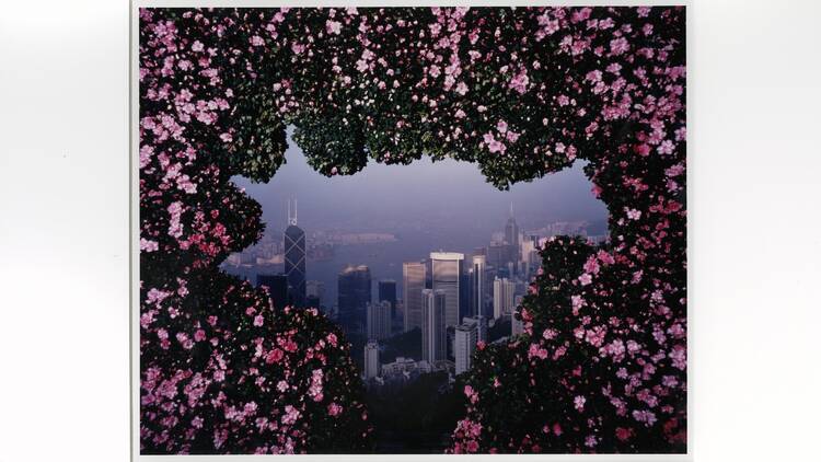 Photograph from A Floral Transformation, 1996
