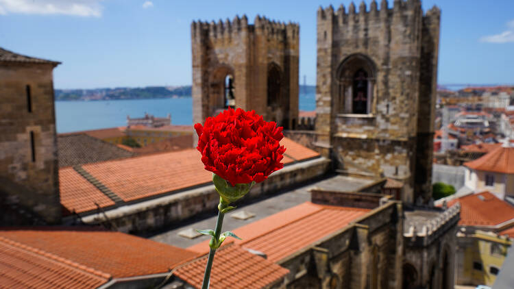 Um cravo com vista para a cidade de Lisboa
