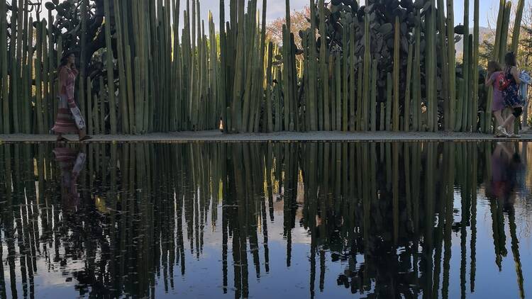 Jardín Etnobotánico