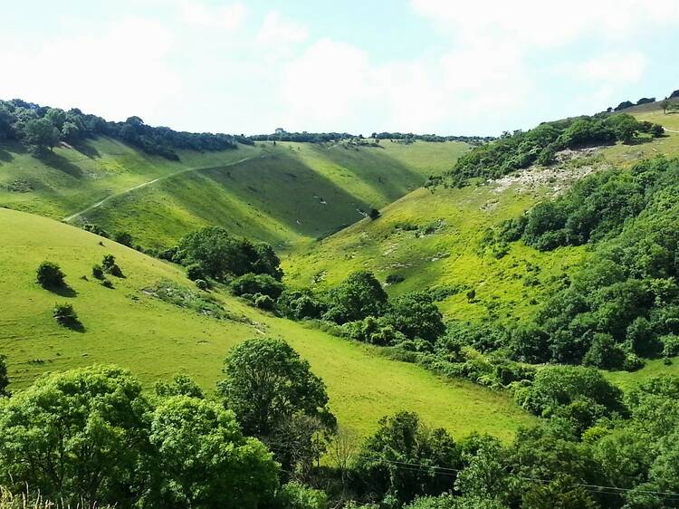 Hike around Devil’s Dyke