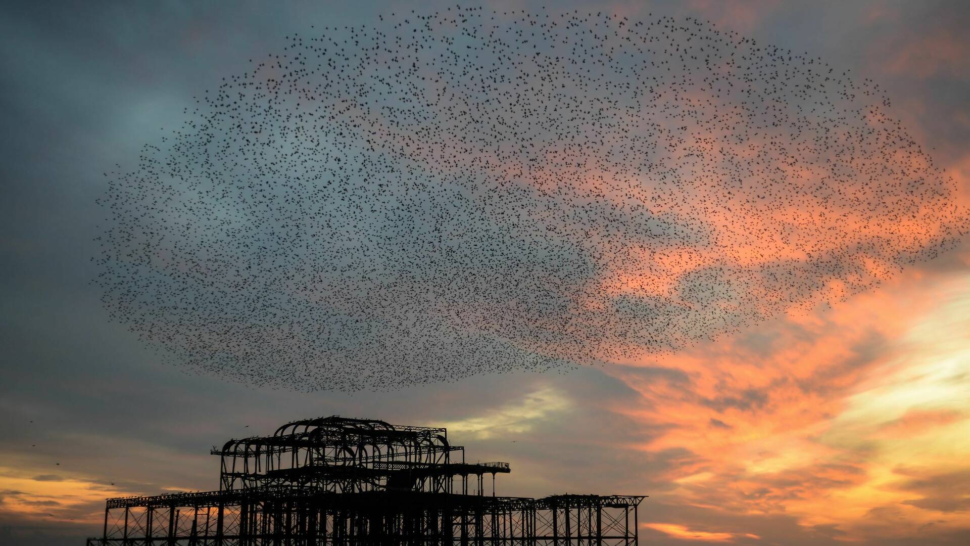 25 Best Things to do in Brighton According to Locals