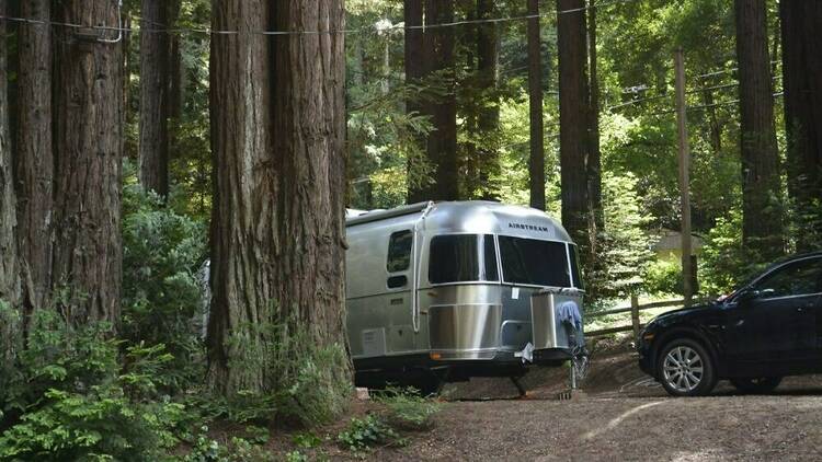 Campspot-1 Santa Cruz Redwoods RV Resort in Felton, CA