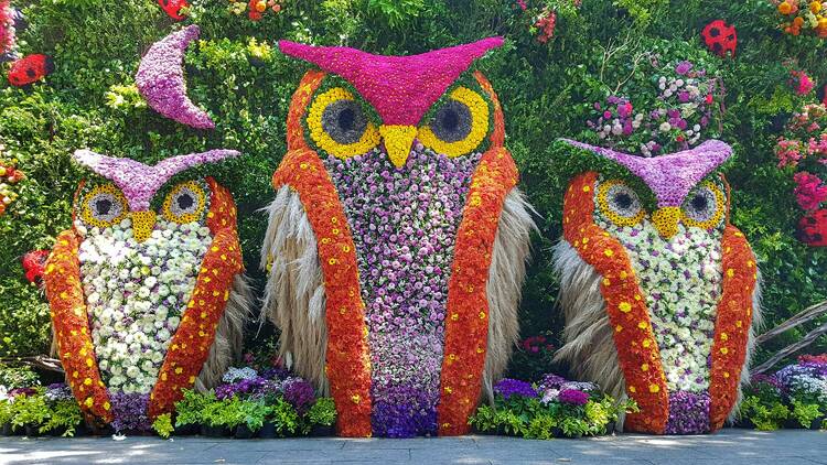 Festival Flores y Jardines CDMX 2024