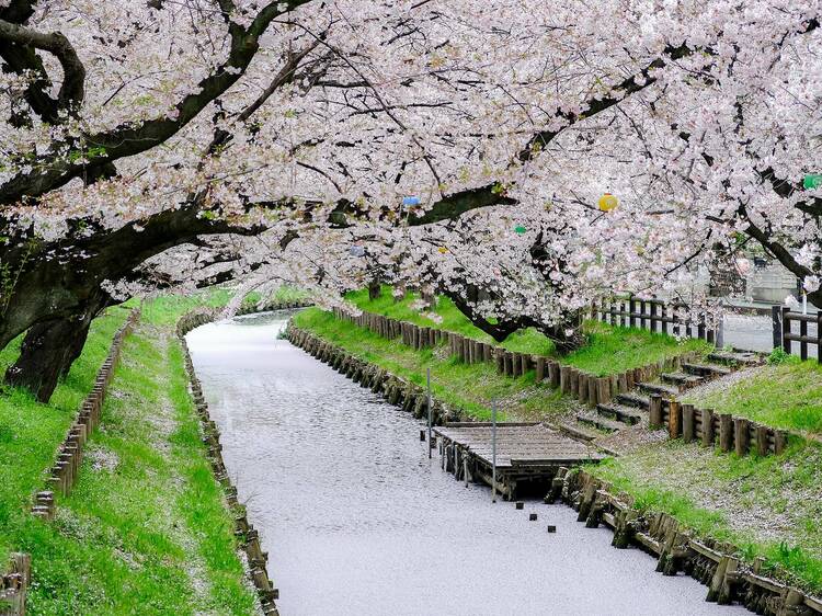 10 best things to do in Kawagoe: attractions, restaurants, cafés and shops