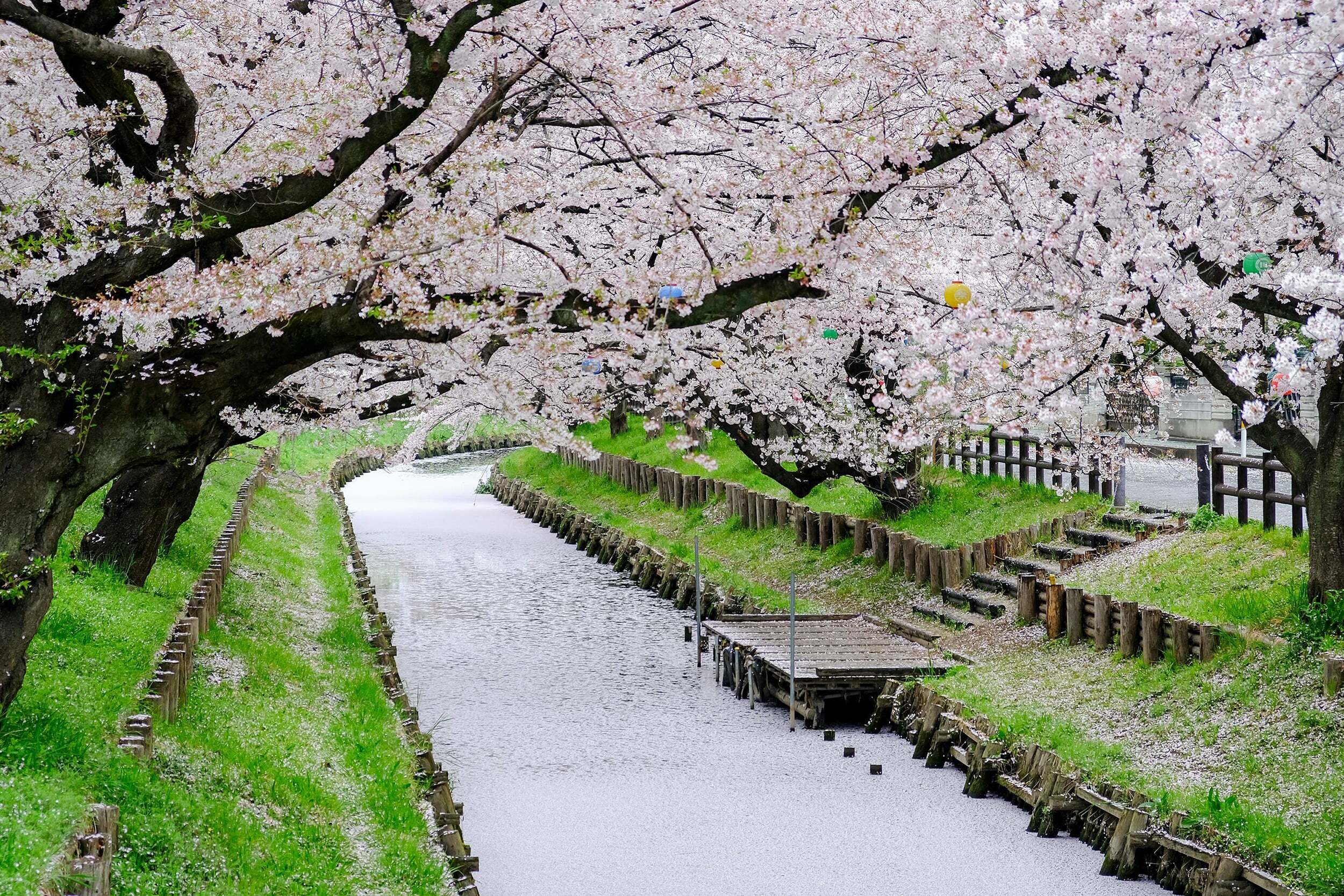 Kawagoe