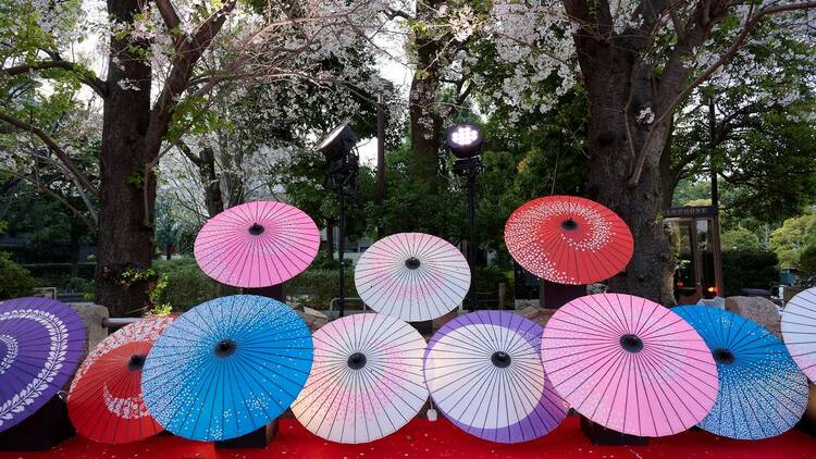 Gotenyama Cherry Blossom Festival