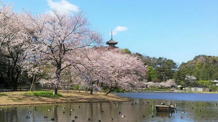 都心のオアシスで古建築を愛でる。