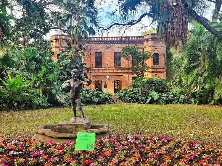 plantas-pasto-escultura-museo-palmera-fuente