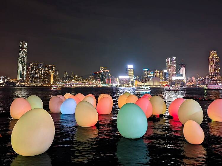 teamLab 香港2024：夜光蛋 teamLab 預約連結、開放時間、交通