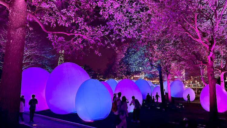 teamLab in Hong Kong 2024: location, opening hours, registration info, and more